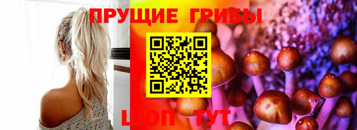 Псилоцибиновые грибы Psilocybine cubensis Холмск